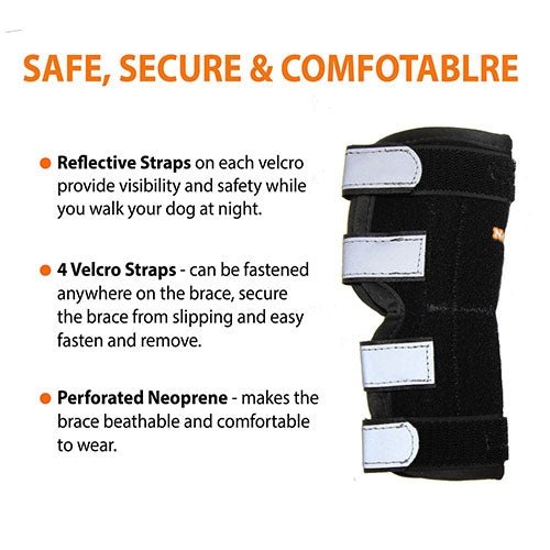 Load image into Gallery viewer, NeoAlly Dog Rear Leg Hock Brace with Metal Spring Strips for Large Dogs [Long Version] (Pair)
