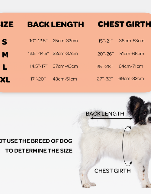 Load image into Gallery viewer, NeoAlly Dog Back Brace for Dogs with Inserts for Extra Support
