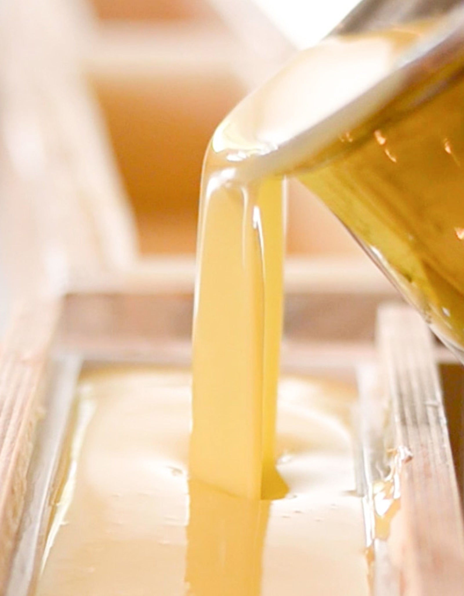 Milk + Honey Fragrance Free Handmade Tallow and Goat Milk Soap Bar