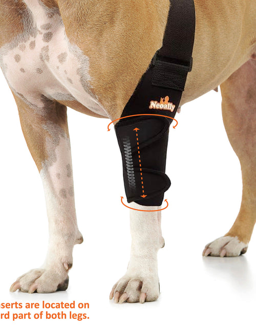 Load image into Gallery viewer, NeoAlly Elbow and Shoulder Brace with Spring Inserts for Dogs and Cats - Enhance Pet Mobility with Optimal Support
