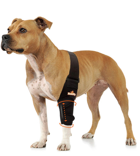 NeoAlly Elbow and Shoulder Brace with Spring Inserts for Dogs and Cats - Enhance Pet Mobility with Optimal Support