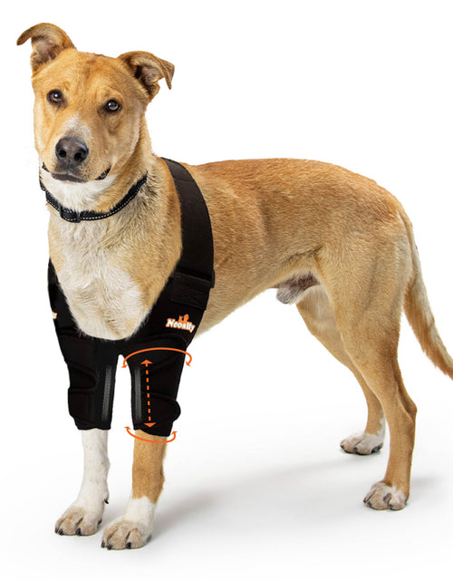 Load image into Gallery viewer, NeoAlly Elbow and Shoulder Brace with Spring Inserts for Dogs and Cats - Enhance Pet Mobility with Optimal Support
