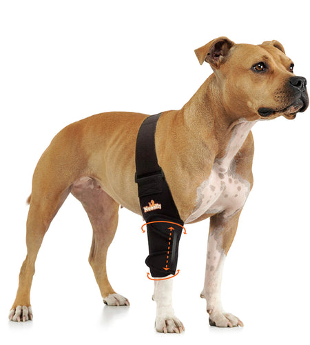 NeoAlly Elbow and Shoulder Brace with Spring Inserts for Dogs and Cats - Enhance Pet Mobility with Optimal Support