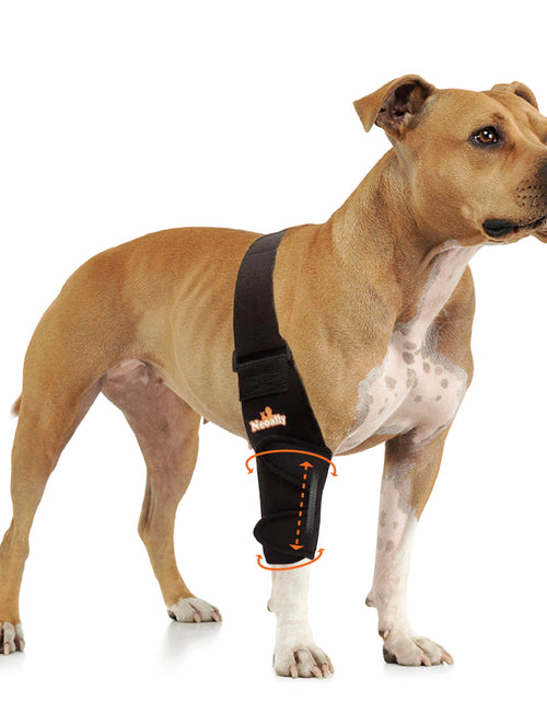 Load image into Gallery viewer, NeoAlly Elbow and Shoulder Brace with Spring Inserts for Dogs and Cats - Enhance Pet Mobility with Optimal Support
