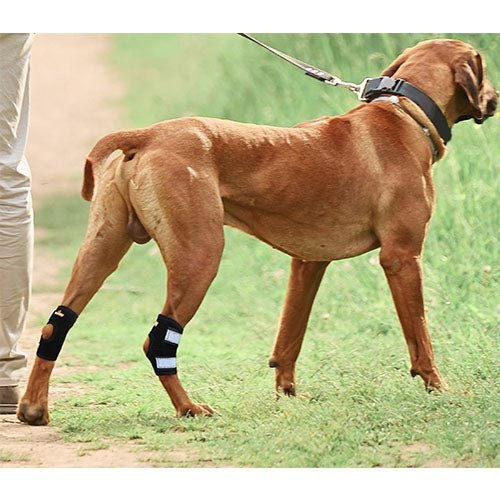 Load image into Gallery viewer, NeoAlly Rear Leg Hock Brace - Metal Spring Strips for Small Dogs [Short Version] (Pair)
