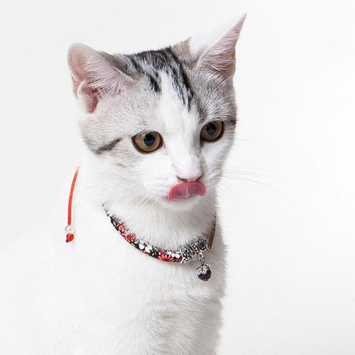 Load image into Gallery viewer, Touchcat Lucky Charms Designer Cable Necklace Cat Collar
