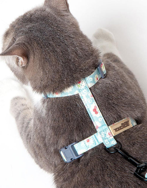 Load image into Gallery viewer, Touchcat 'Radi-Claw' Durable Cable Cat Harness and Leash Combo
