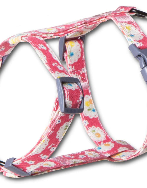 Load image into Gallery viewer, Touchcat 'Radi-Claw' Durable Cable Cat Harness and Leash Combo
