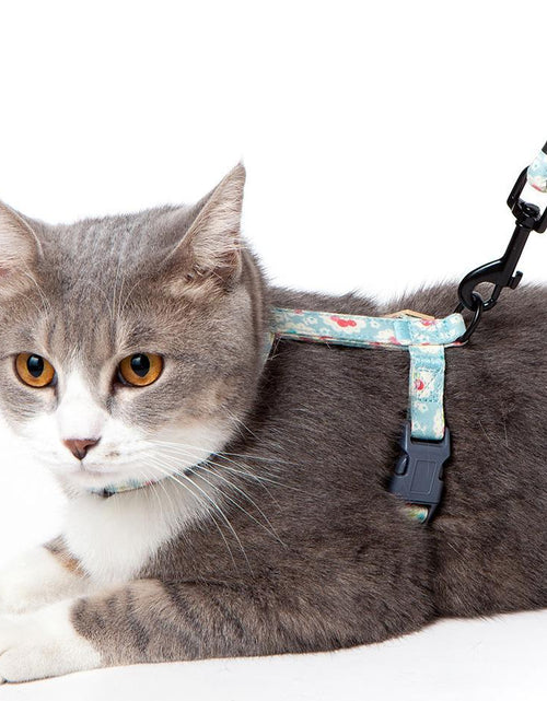 Load image into Gallery viewer, Touchcat 'Radi-Claw' Durable Cable Cat Harness and Leash Combo
