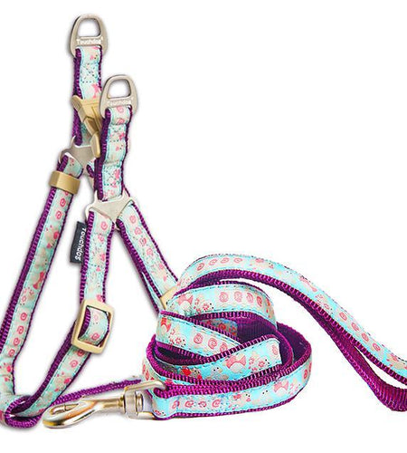 Touchdog 'Avery Patterned' Tough Stitched Dog Harness and Leash