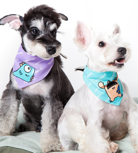 Touchdog Star Patterned Hook-and-Loop Fashion Dog Bandana