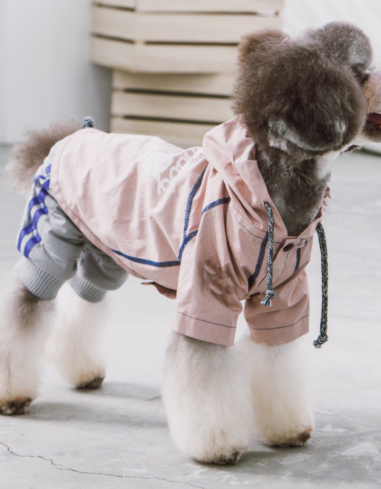 Touchdog 'Cloudburst' Reversible Fashion Waterproof Dog Raincoat