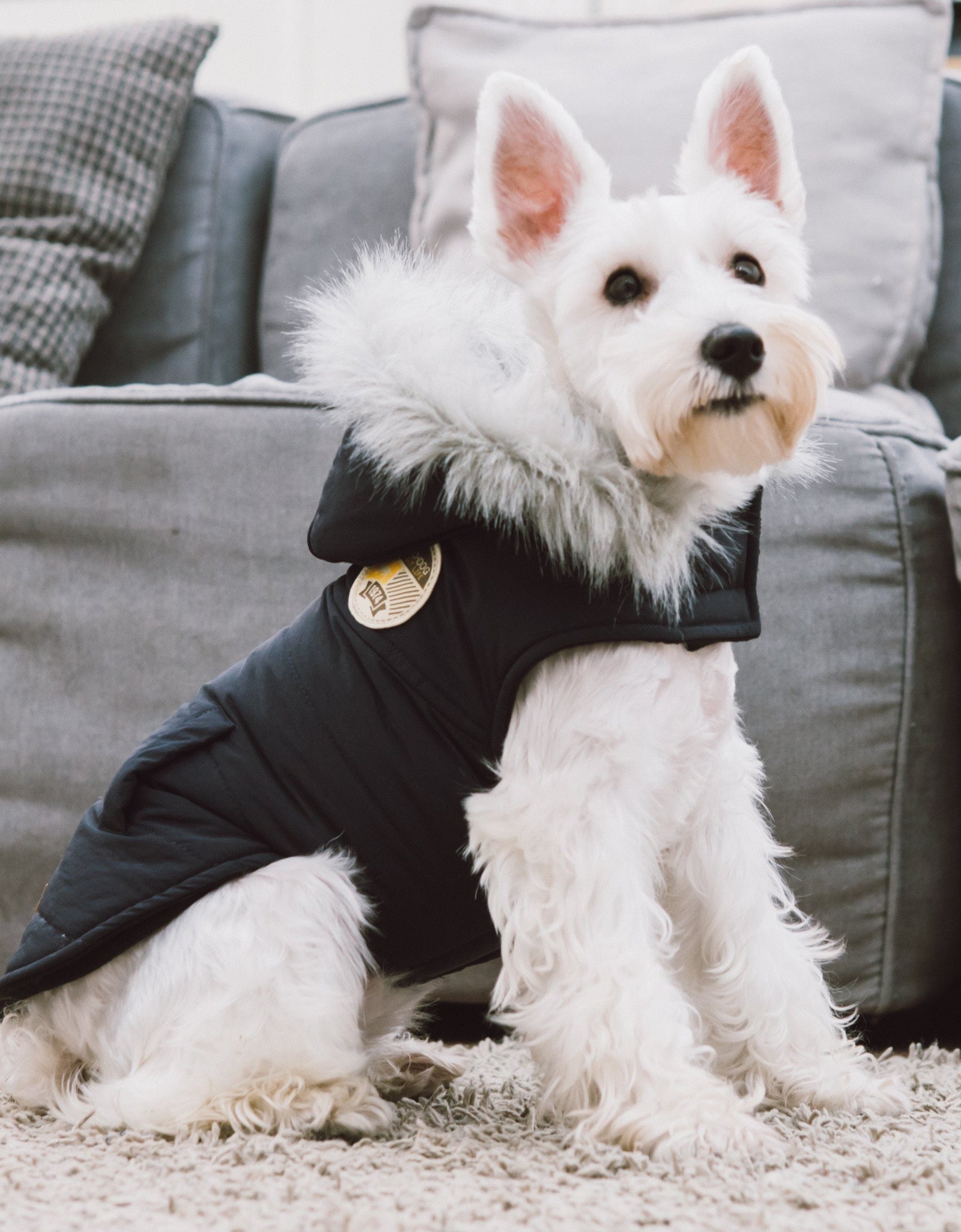 Touchdog 'Eskimo-Swag' Duck-Down Insulated Winter Dog Coat Parka