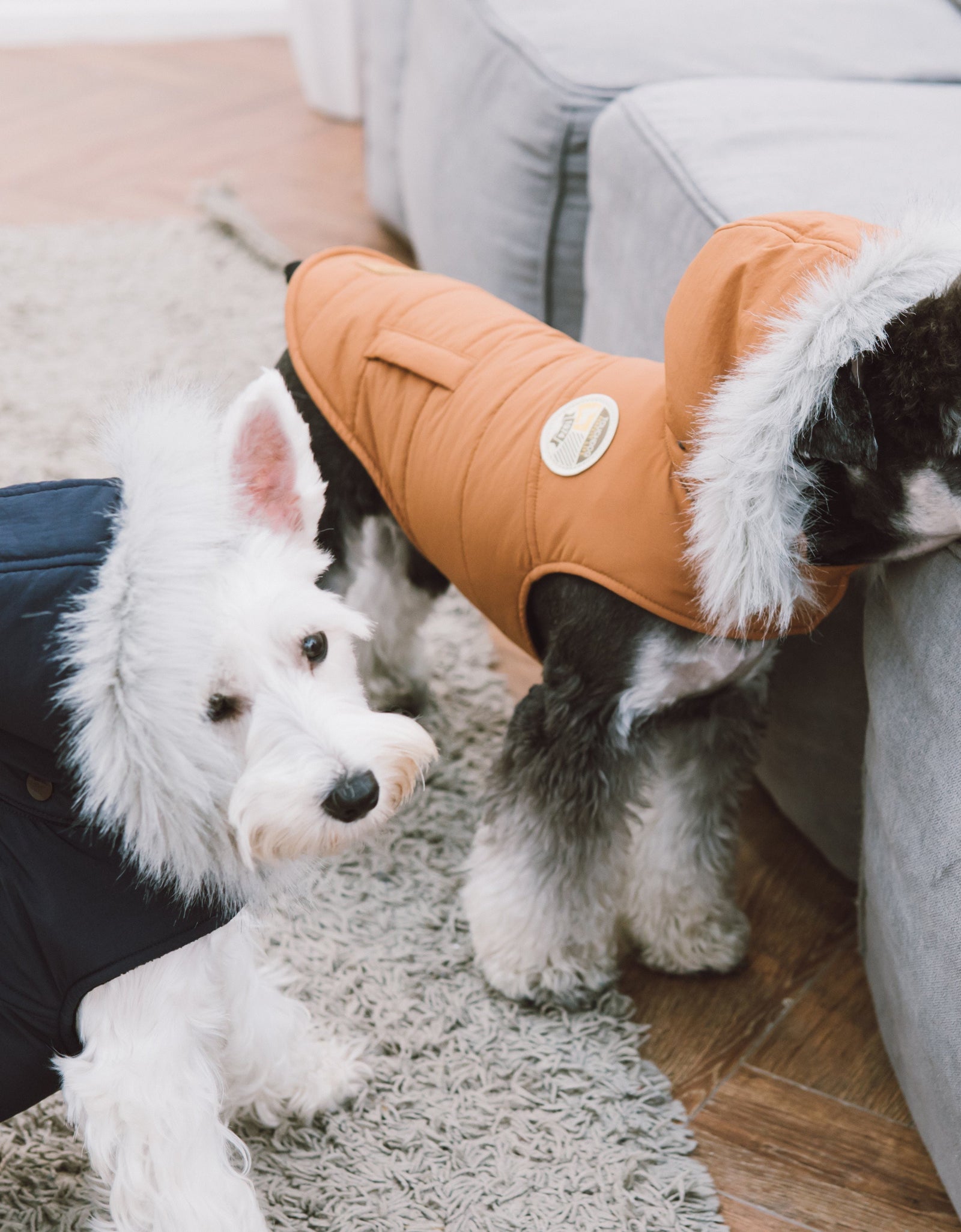 Touchdog 'Eskimo-Swag' Duck-Down Insulated Winter Dog Coat Parka