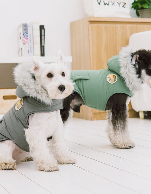 Load image into Gallery viewer, Touchdog 'Eskimo-Swag' Duck-Down Insulated Winter Dog Coat Parka

