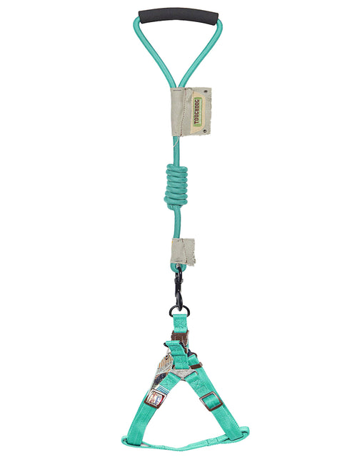 Load image into Gallery viewer, Touchdog Faded-Barker 2-in-1 Fashion Dog Leash and Harness
