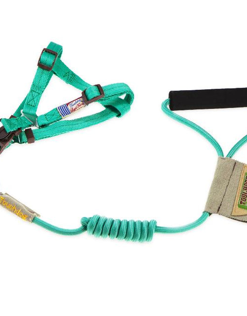 Load image into Gallery viewer, Touchdog Faded-Barker 2-in-1 Fashion Dog Leash and Harness
