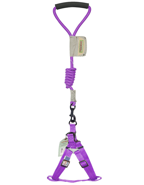 Load image into Gallery viewer, Touchdog Faded-Barker 2-in-1 Fashion Dog Leash and Harness
