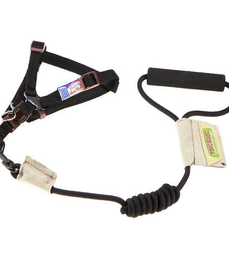 Touchdog Faded-Barker 2-in-1 Fashion Dog Leash and Harness