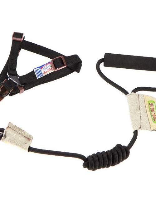 Load image into Gallery viewer, Touchdog Faded-Barker 2-in-1 Fashion Dog Leash and Harness
