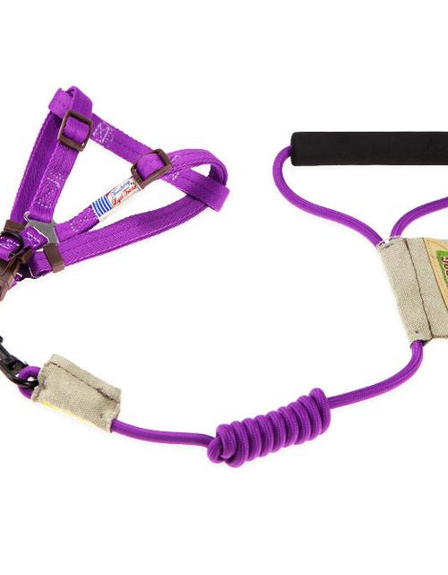 Load image into Gallery viewer, Touchdog Faded-Barker 2-in-1 Fashion Dog Leash and Harness
