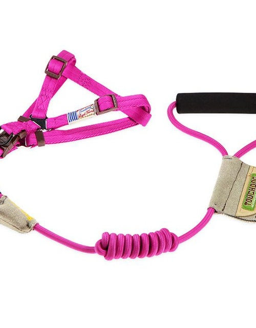 Load image into Gallery viewer, Touchdog Faded-Barker 2-in-1 Fashion Dog Leash and Harness

