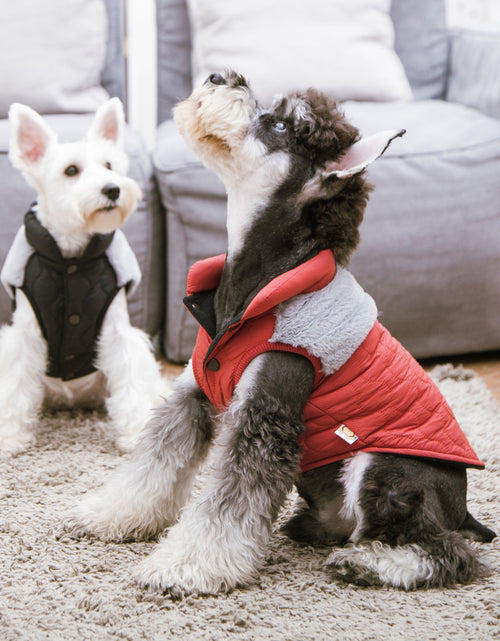 Load image into Gallery viewer, Touchdog 'Furrost-Bite' Fur and Fleece Designer Fashion Dog Jacket

