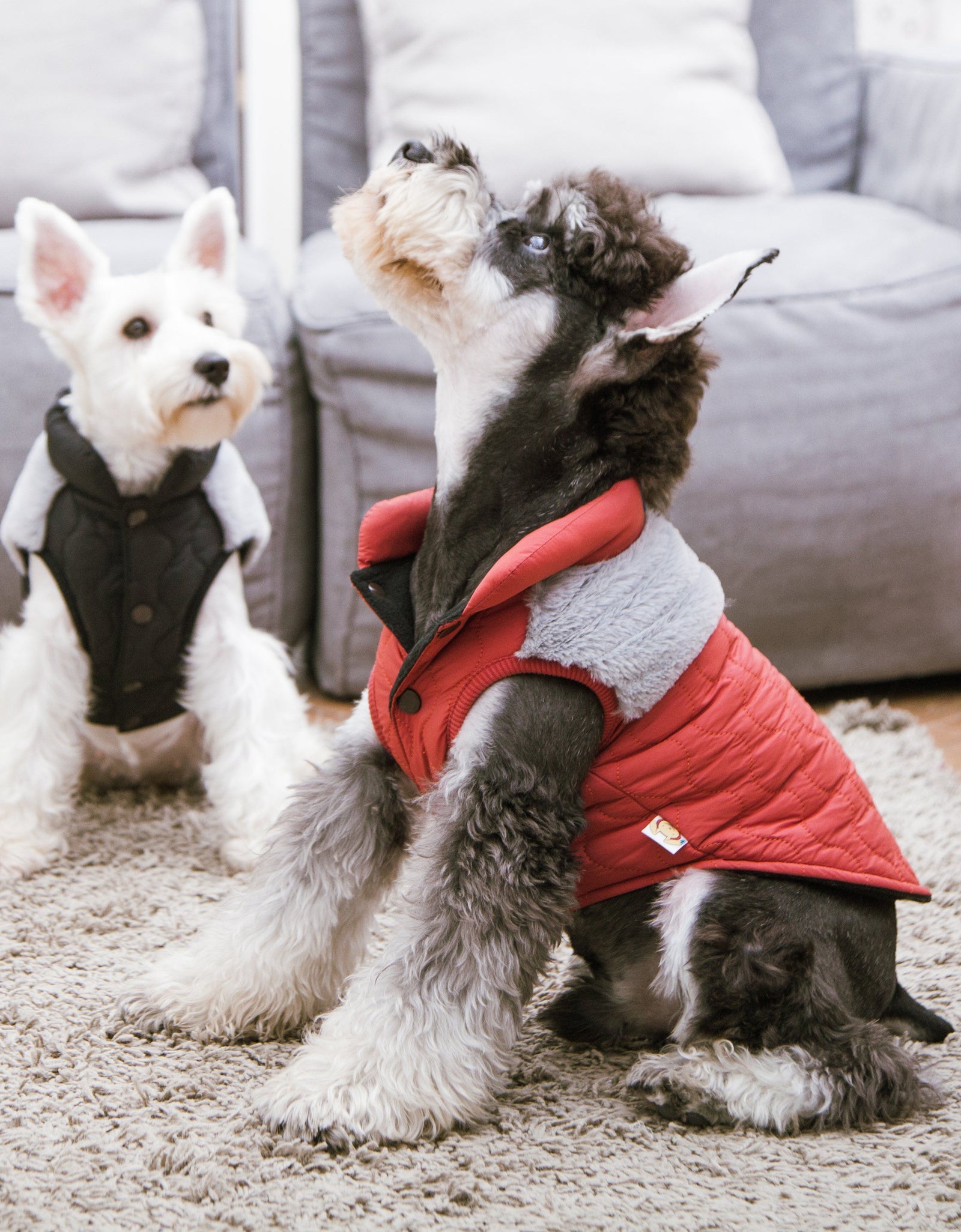 Touchdog 'Furrost-Bite' Fur and Fleece Designer Fashion Dog Jacket