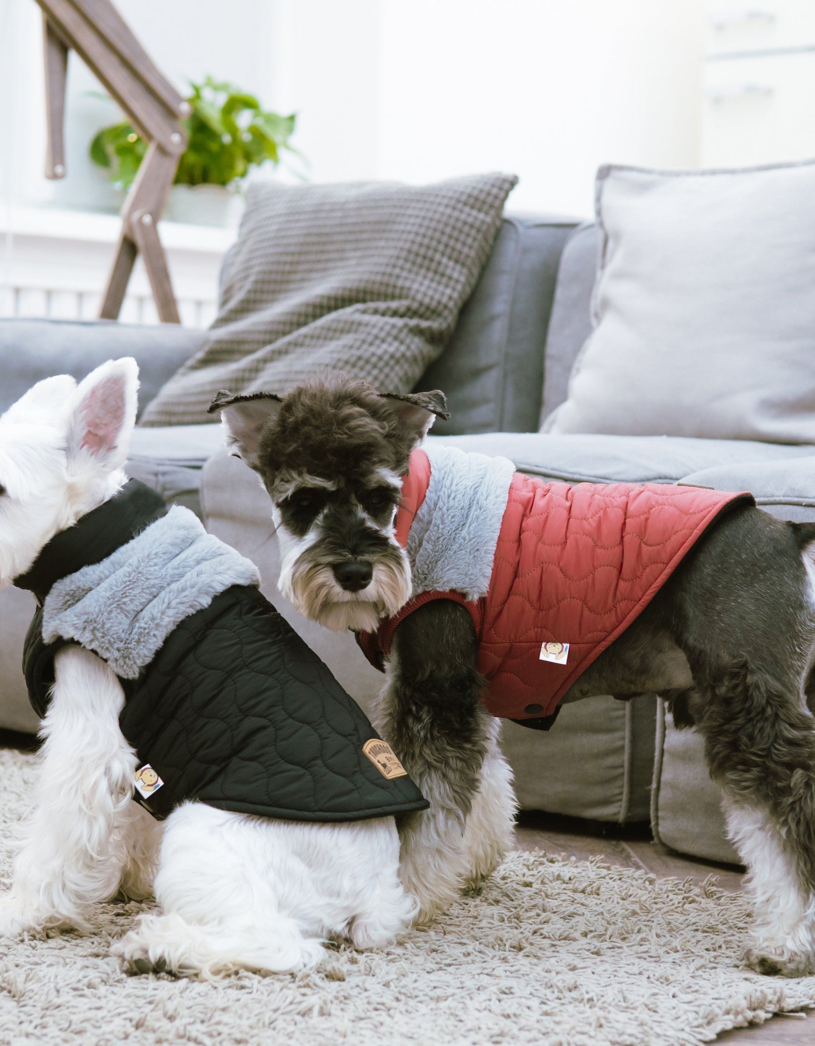 Touchdog 'Furrost-Bite' Fur and Fleece Designer Fashion Dog Jacket