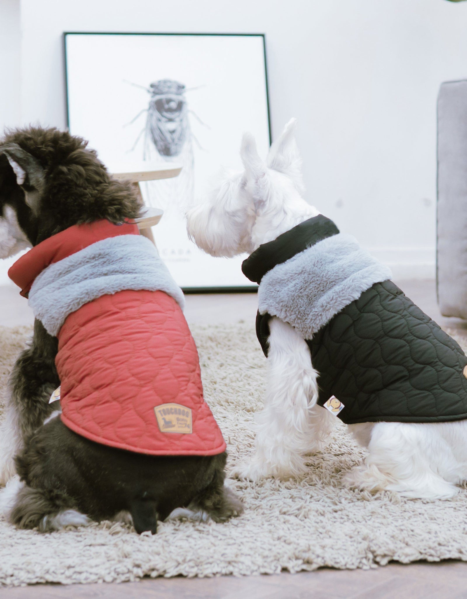 Touchdog 'Furrost-Bite' Fur and Fleece Designer Fashion Dog Jacket