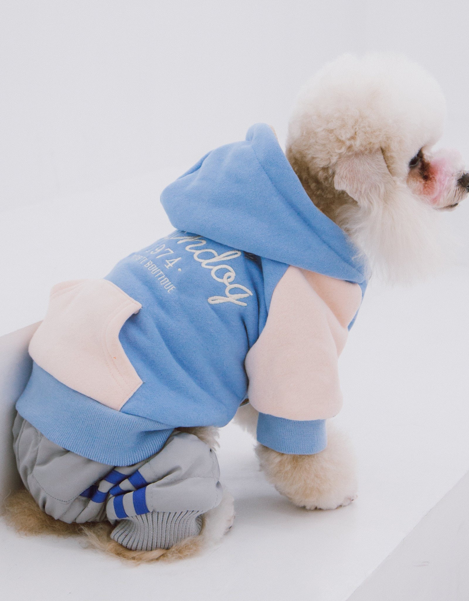 Touchdog 'Heritage' Soft-Cotton Fashion Dog Hoodie Sweater