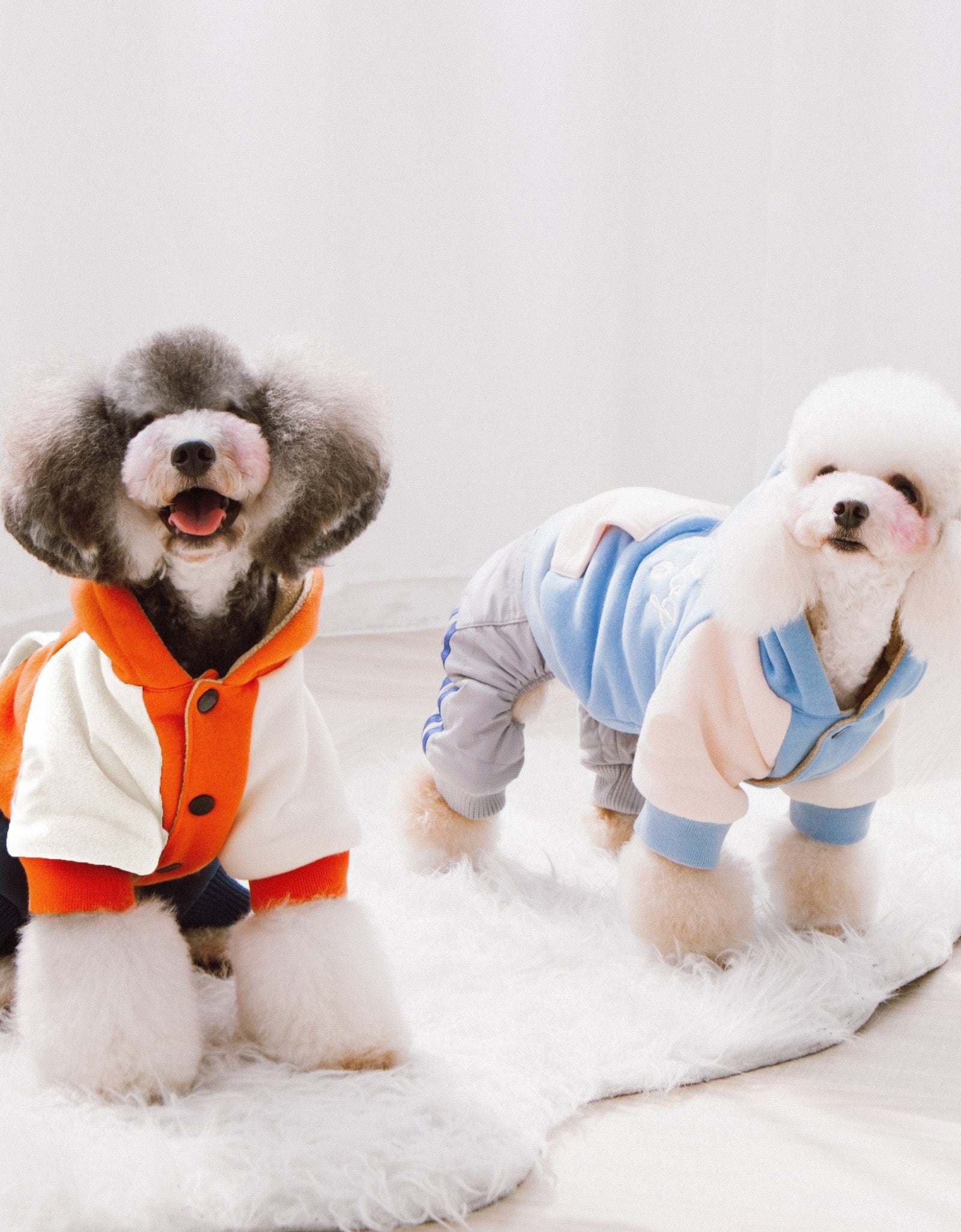 Touchdog 'Heritage' Soft-Cotton Fashion Dog Hoodie Sweater