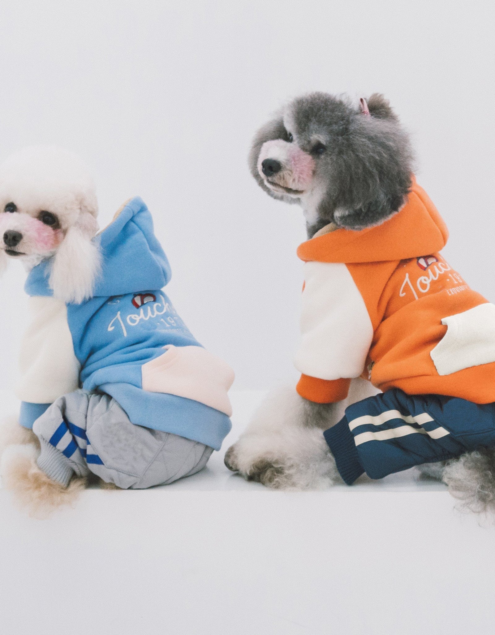 Touchdog 'Heritage' Soft-Cotton Fashion Dog Hoodie Sweater