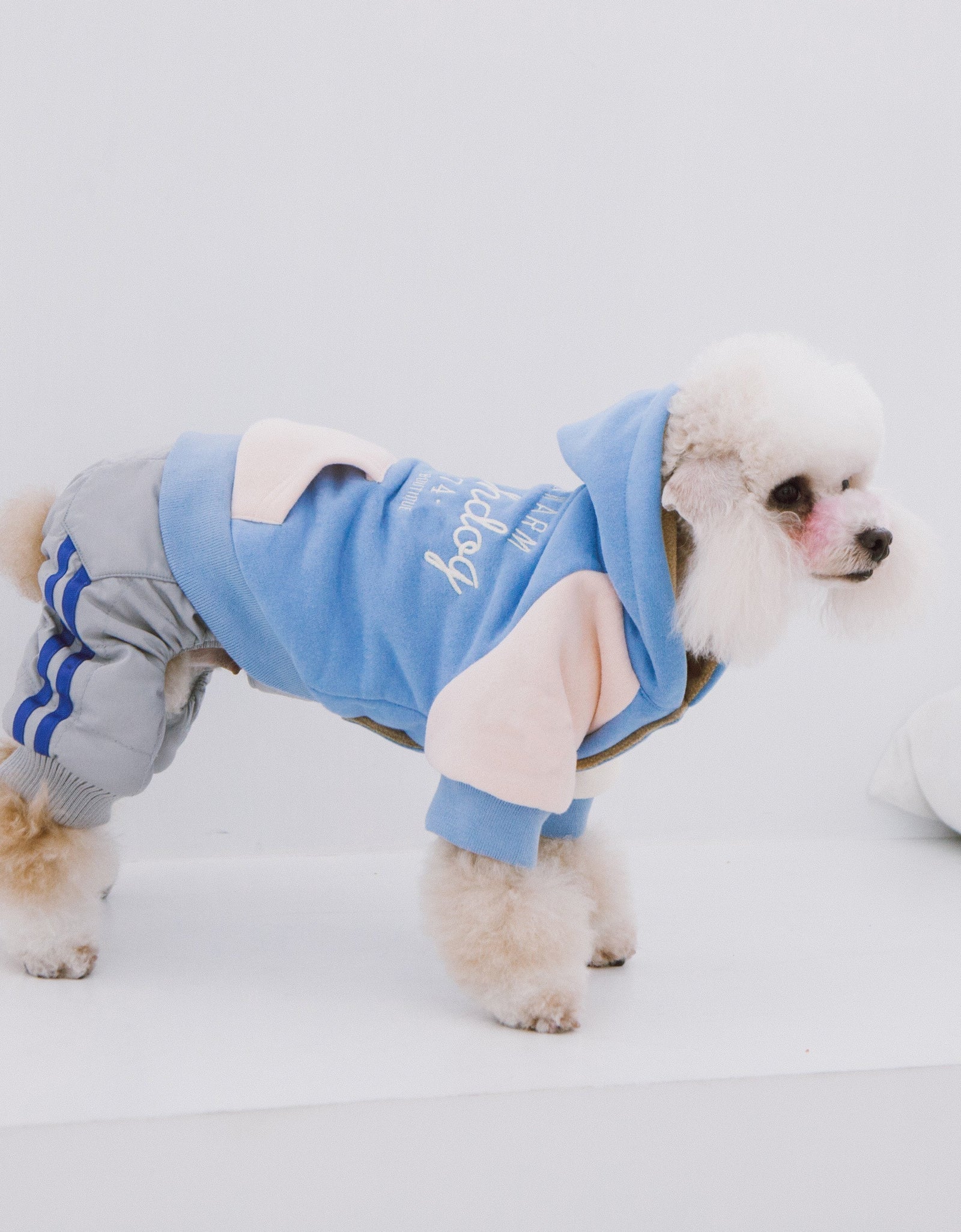 Touchdog 'Heritage' Soft-Cotton Fashion Dog Hoodie Sweater