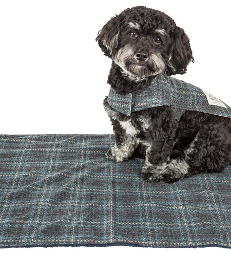 Touchdog ® 2-In-1 Windowpane Plaid Matching Dog Jacket and Reversible Dog Mat