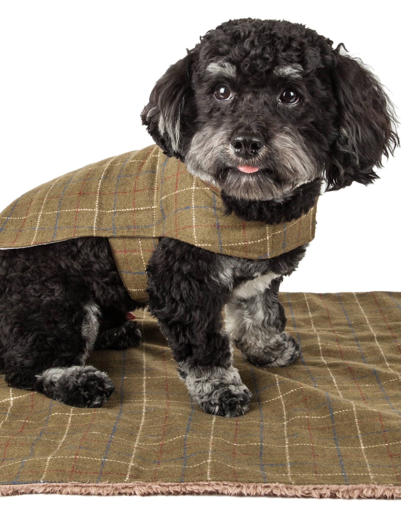 Touchdog ® 2-In-1 Windowpane Plaid Dog Jacket and Matching Reversible Dog Mat