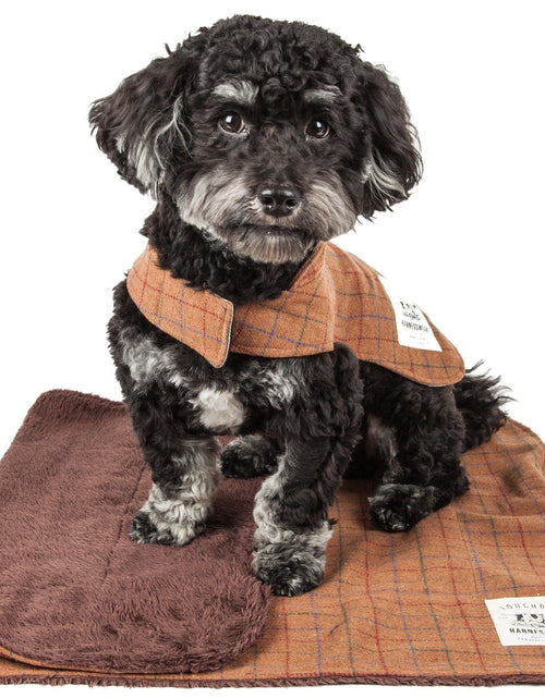 Load image into Gallery viewer, Touchdog ® 2-In-1 Windowpane Plaid Dog Jacket and Matching Reversible Dog Mat
