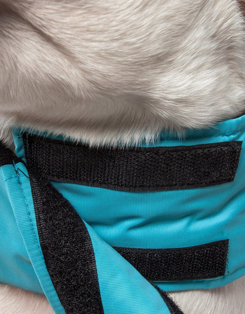 Load image into Gallery viewer, Touchdog ® Lightening-Shield 2-in-1 Dual-Removable-Layered Waterproof Dog Jacket
