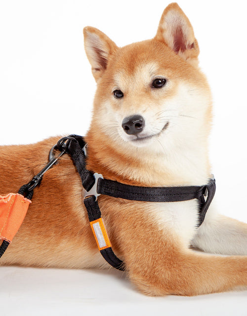 Load image into Gallery viewer, Touchdog ® 'Macaron' 2-in-1 Durable Nylon Dog Harness and Leash
