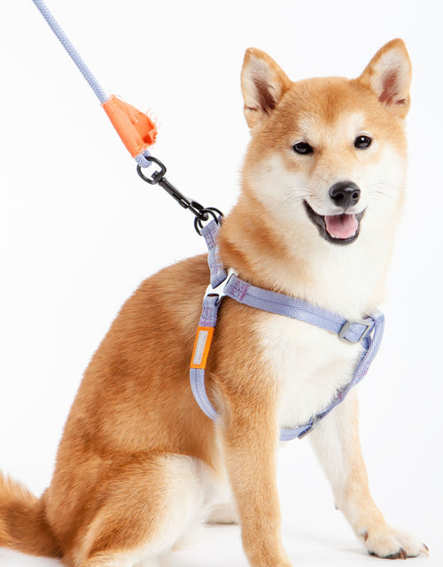 Load image into Gallery viewer, Touchdog ® 'Macaron' 2-in-1 Durable Nylon Dog Harness and Leash
