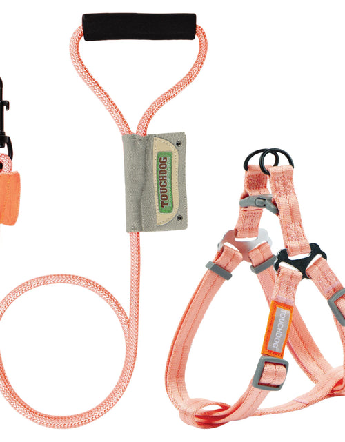 Load image into Gallery viewer, Touchdog ® 'Macaron' 2-in-1 Durable Nylon Dog Harness and Leash
