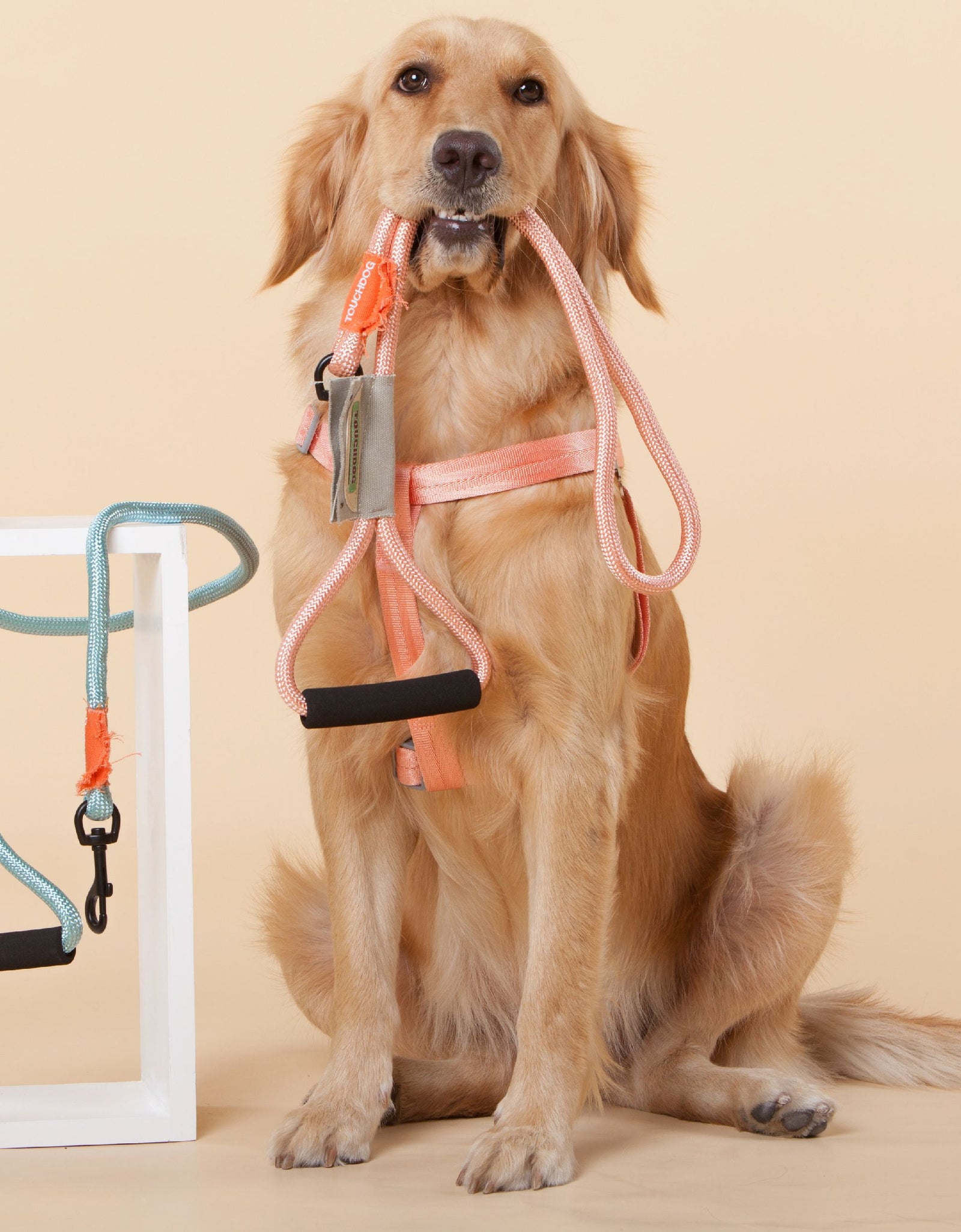 Touchdog ® 'Macaron' 2-in-1 Durable Nylon Dog Harness and Leash