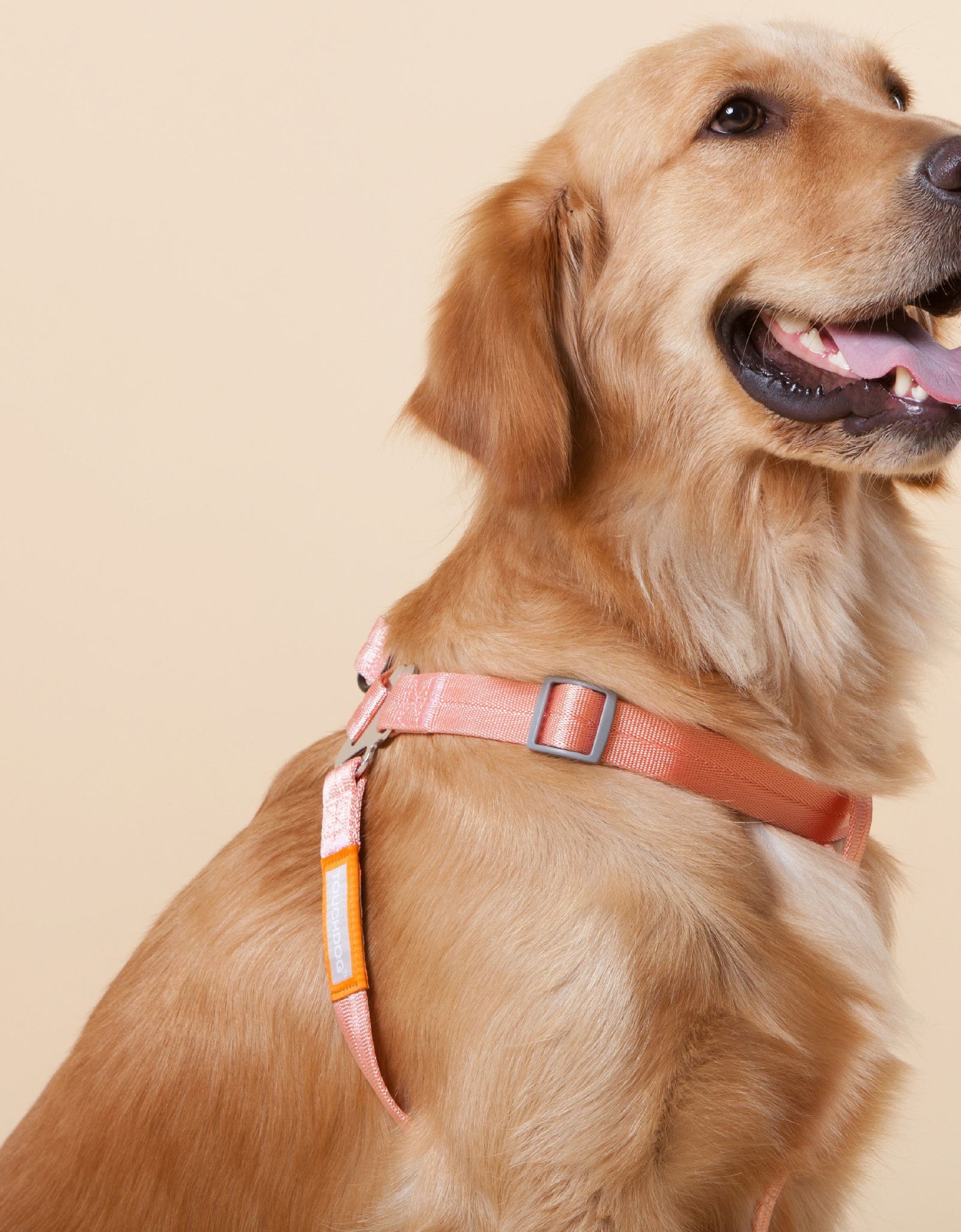 Touchdog ® 'Macaron' 2-in-1 Durable Nylon Dog Harness and Leash