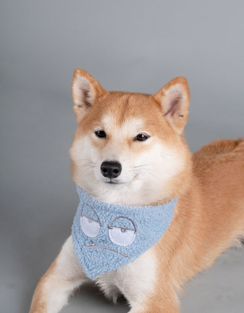 Load image into Gallery viewer, Touchdog ® 'Macaron' 2-in-1 Durable Nylon Dog Harness and Leash

