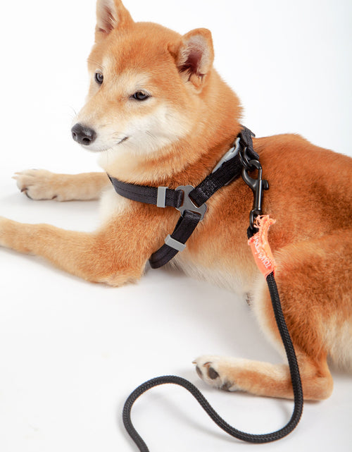 Load image into Gallery viewer, Touchdog ® 'Macaron' 2-in-1 Durable Nylon Dog Harness and Leash
