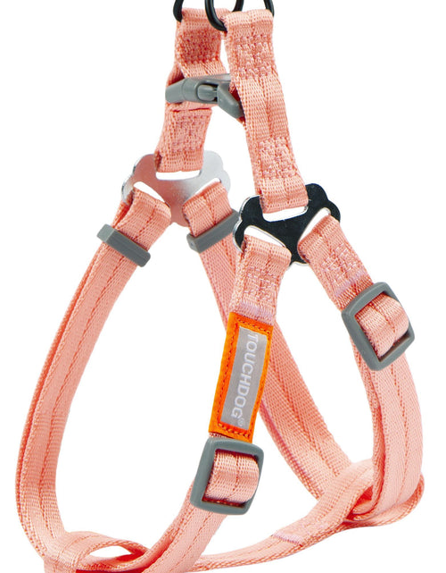 Load image into Gallery viewer, Touchdog ® 'Macaron' 2-in-1 Durable Nylon Dog Harness and Leash
