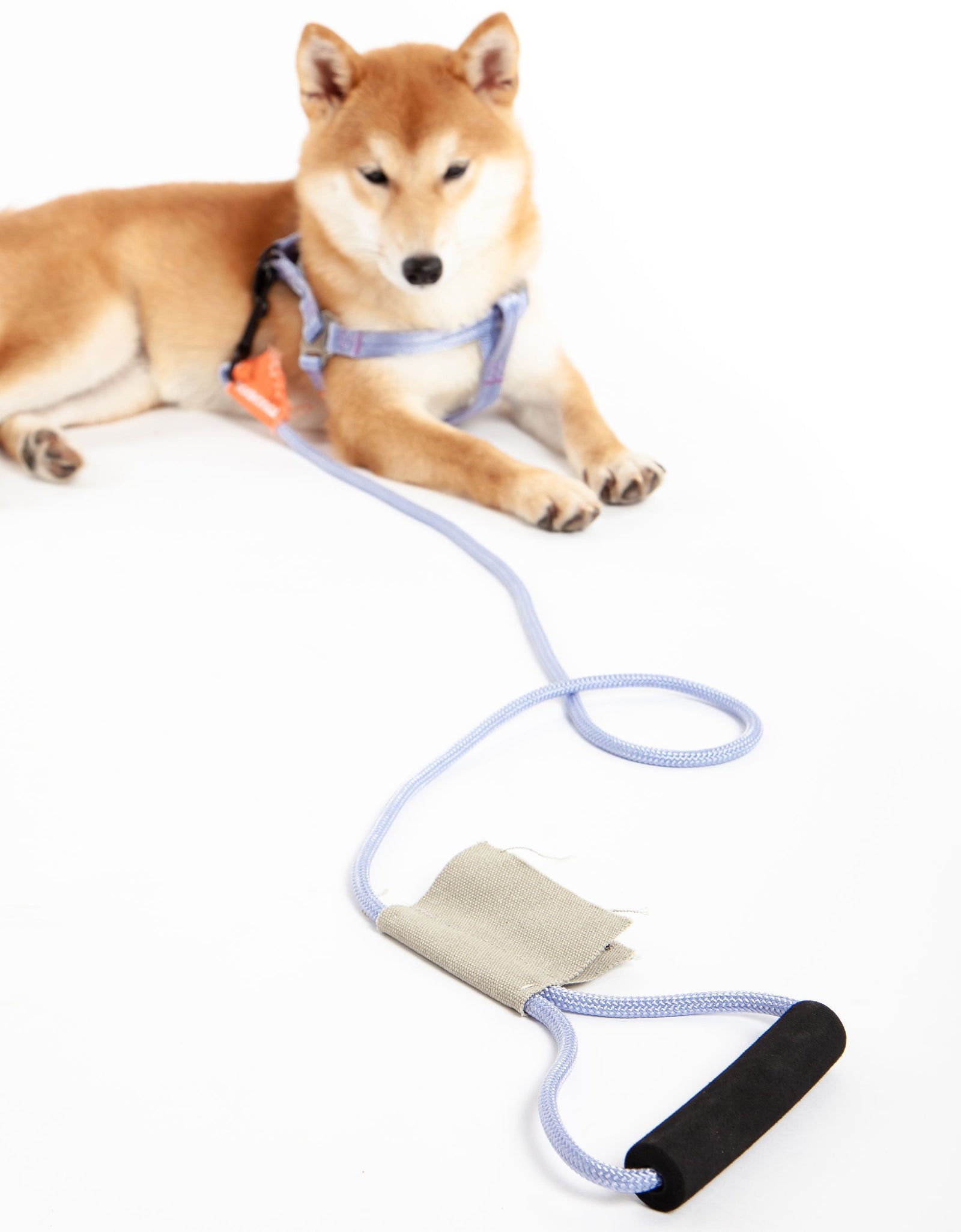 Touchdog ® 'Macaron' 2-in-1 Durable Nylon Dog Harness and Leash