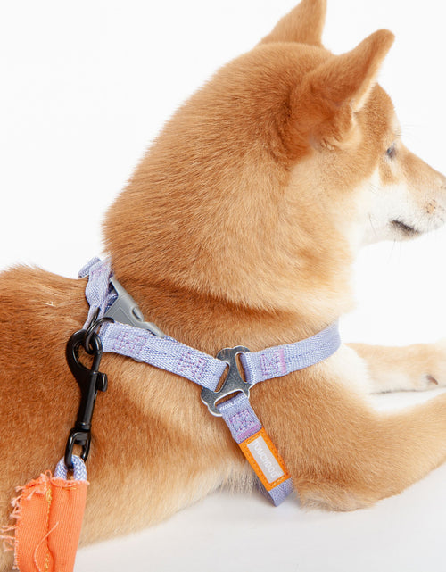 Load image into Gallery viewer, Touchdog ® 'Macaron' 2-in-1 Durable Nylon Dog Harness and Leash
