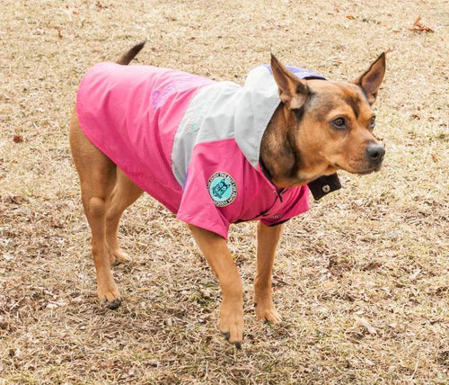 Load image into Gallery viewer, Touchdog ® 'Mount Pinnacle' Insulated Performance Retro Ski Dog Jacket
