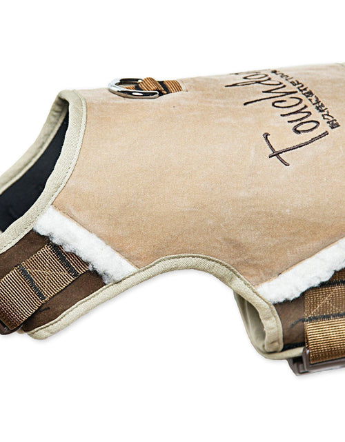 Load image into Gallery viewer, Touchdog ® 'Tough-Boutique' 2-in-1 Adjustable Fashion Dog Harness and Leash
